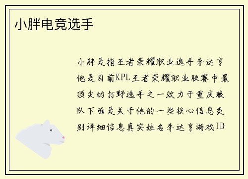 小胖电竞选手
